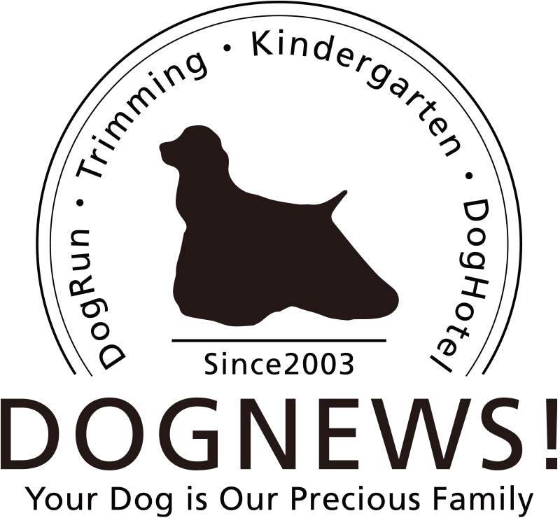DOG NEWS!